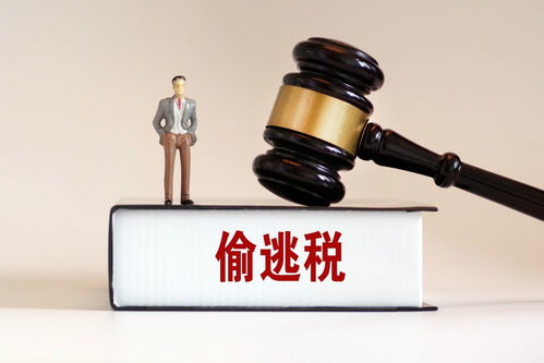 網紅主播偷逃稅風波背后 雪梨林珊珊被罰近億與帶貨行業稅務亂象